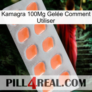 Kamagra 100Mg Gelée Comment Utiliser 26